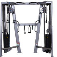 Nautilus Dual Tower Trainer Pulley System Model F3dtt