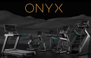 Onyx (1)