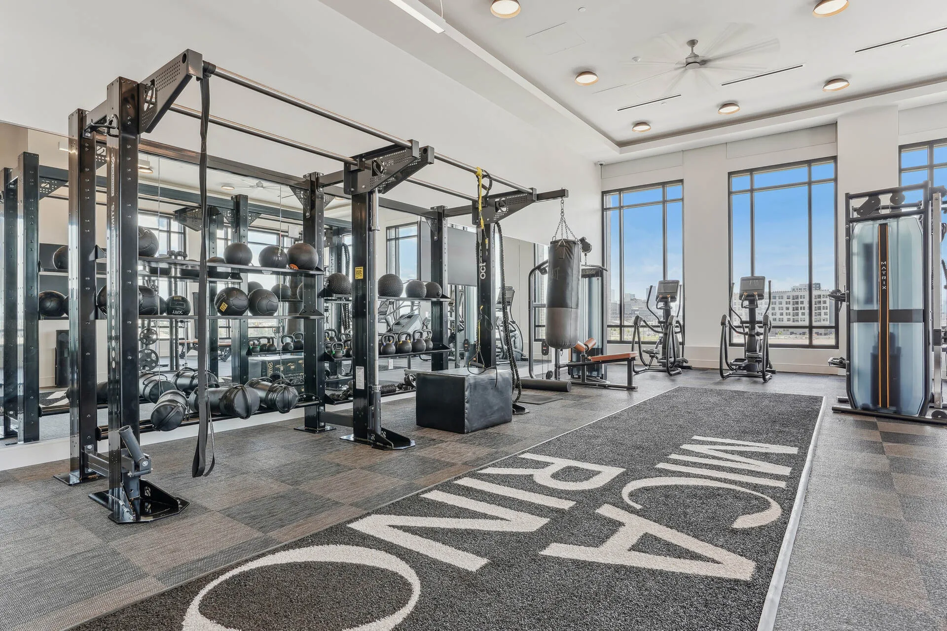 Apartment fitness room in Colorado with a functional rig, heavy bag, plyo box, ellipticals and carpet tile