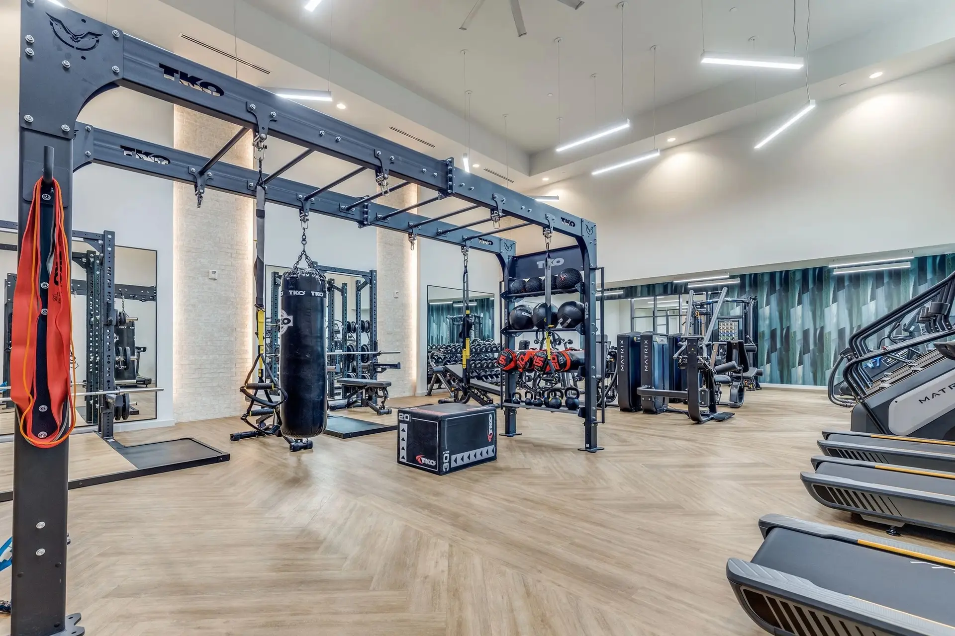 TKO functional rig with a heavy bag, medicine balls and suspension trainers in a Texas apartment gym