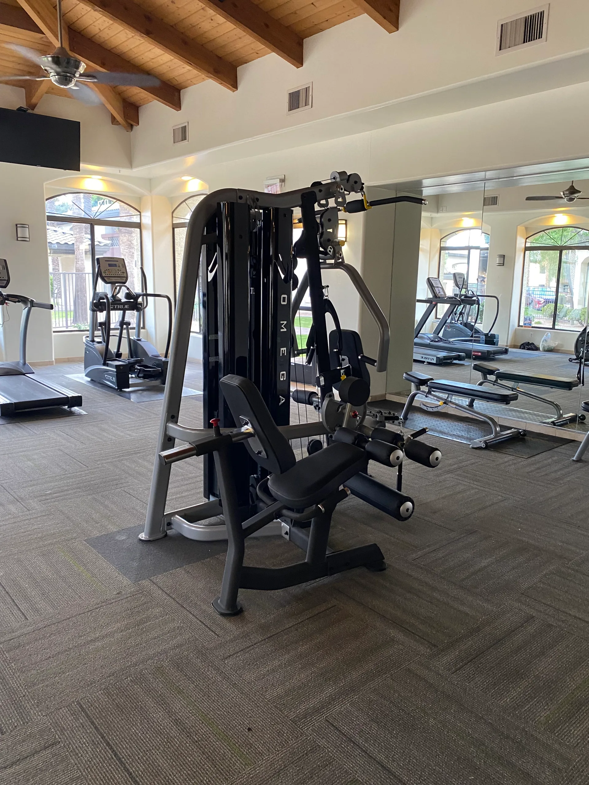 Omega functional trainer under a wood-beam cathedral ceiling and arched windows at an Arizona apartment amenity gym