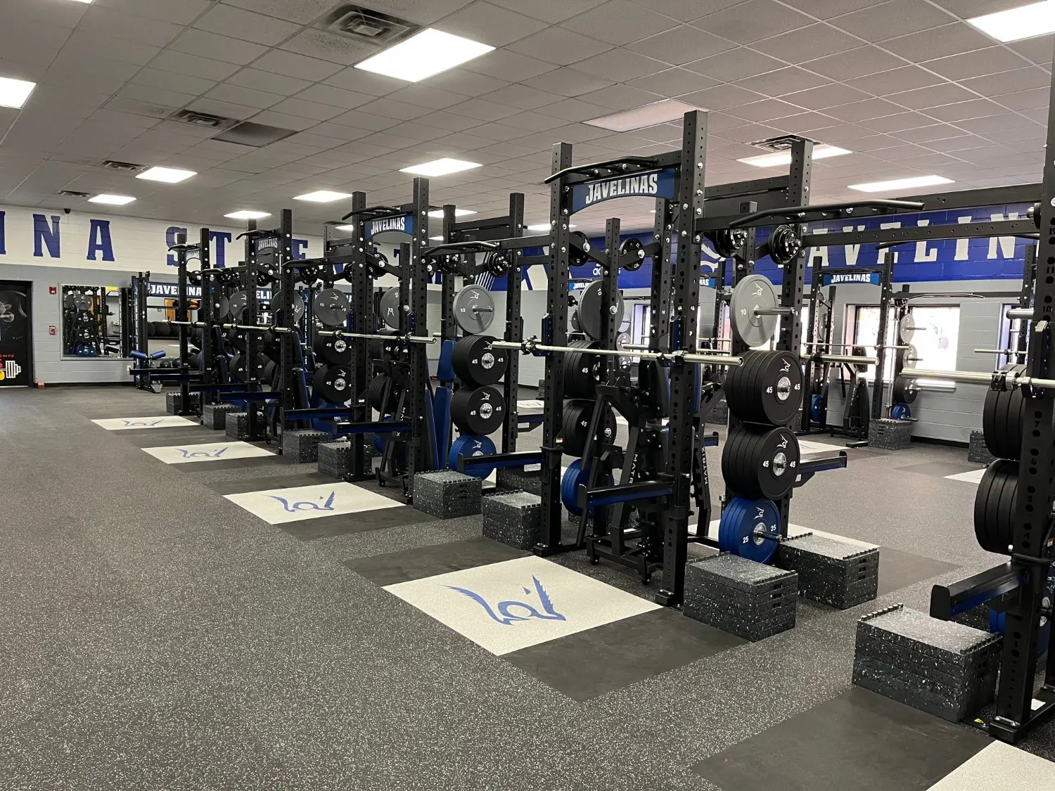 Texas A&M University-Kingsville weight room: black racks with blue accents behind Javelina logo lifting platforms