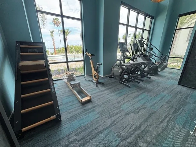 Jacobs Ladder climbing machine, a WaterRower and an indoor bike at a Clearwater, Florida community