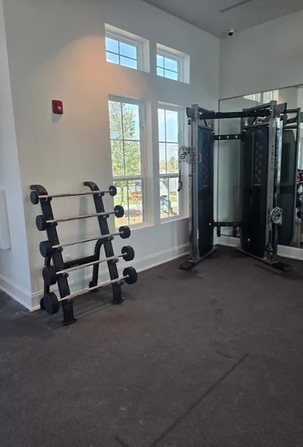 Fixed barbell rack and a Matrix functional trainer against a mirrored wall in Davenport, Florida