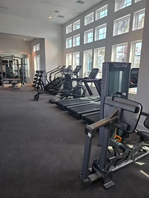 Matrix selectorized machine beside a treadmill and elliptical row under tall windows in Davenport, Florida