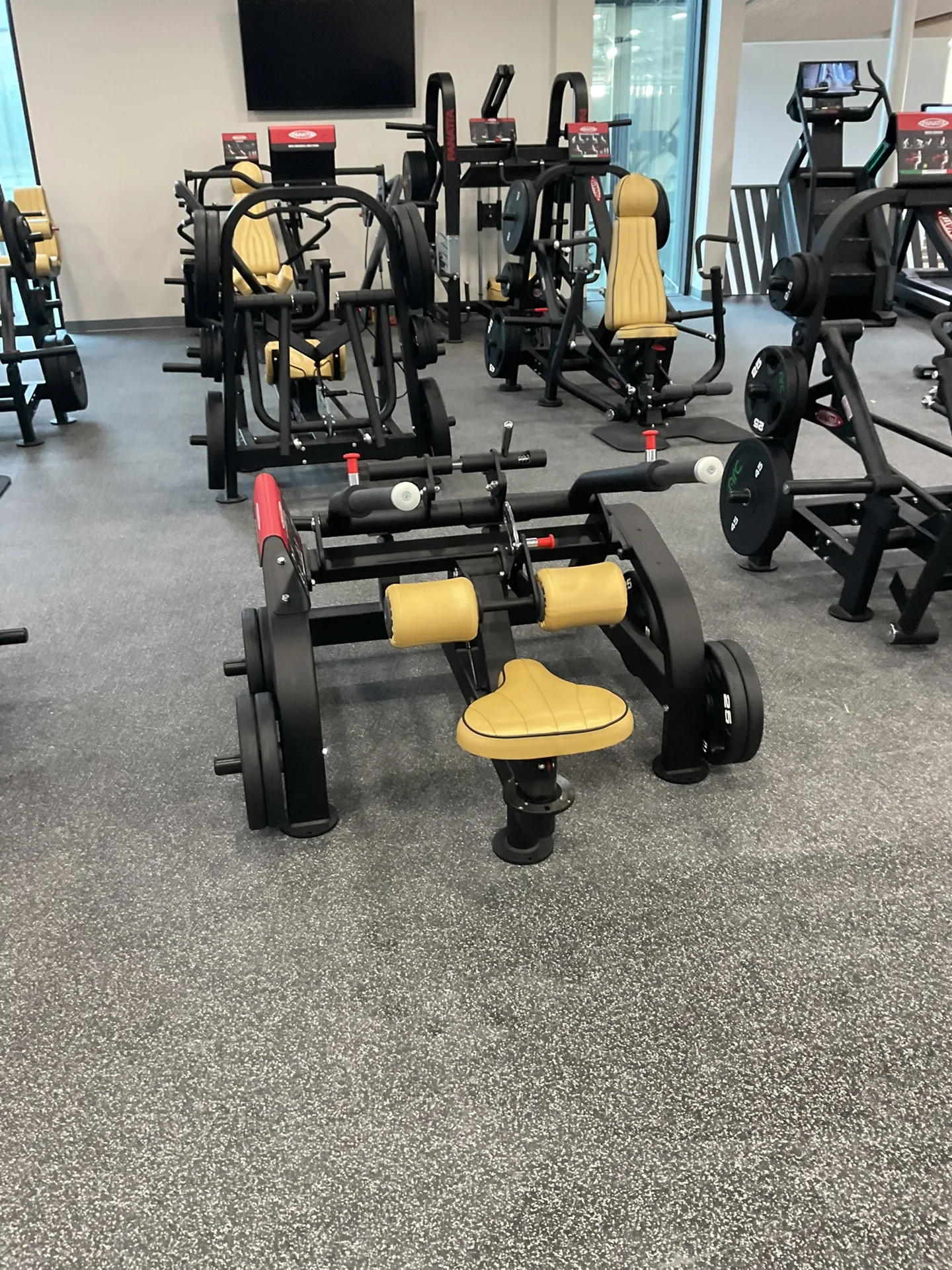 A row of Panatta plate-loaded abduction and seated machines under a wall-mounted screen