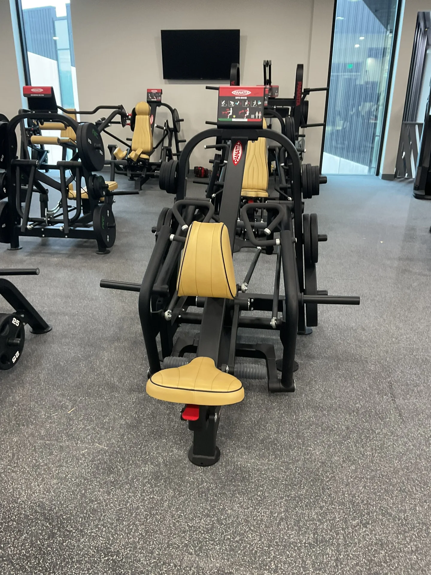 A Panatta plate-loaded chest press with tan upholstery beside a window wall