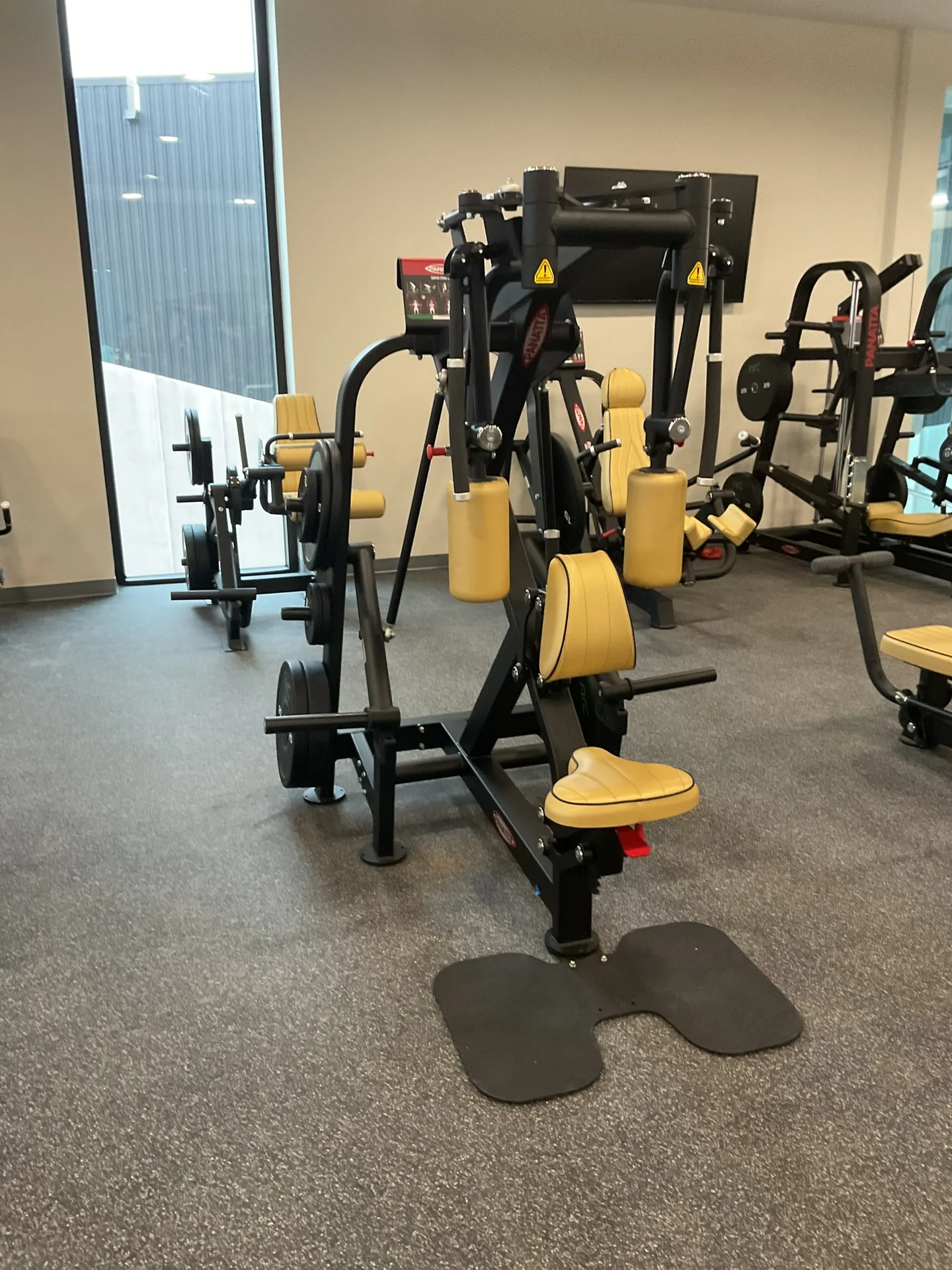 Panatta plate-loaded machines beside a floor-to-ceiling window wall on rubber flooring