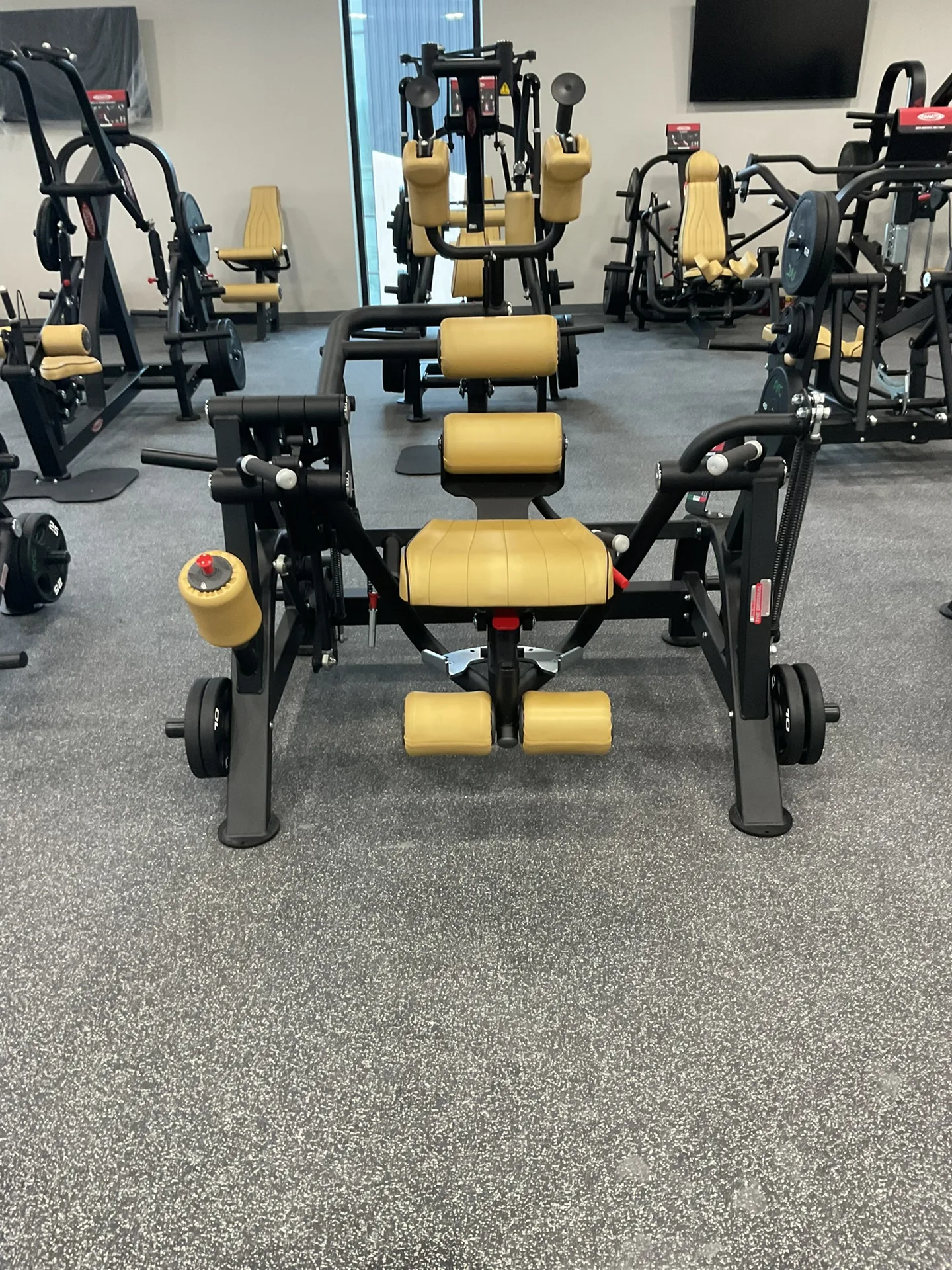 A plate-loaded strength floor of Panatta machines with tan upholstery on black frames, arranged in rows on rubber flooring