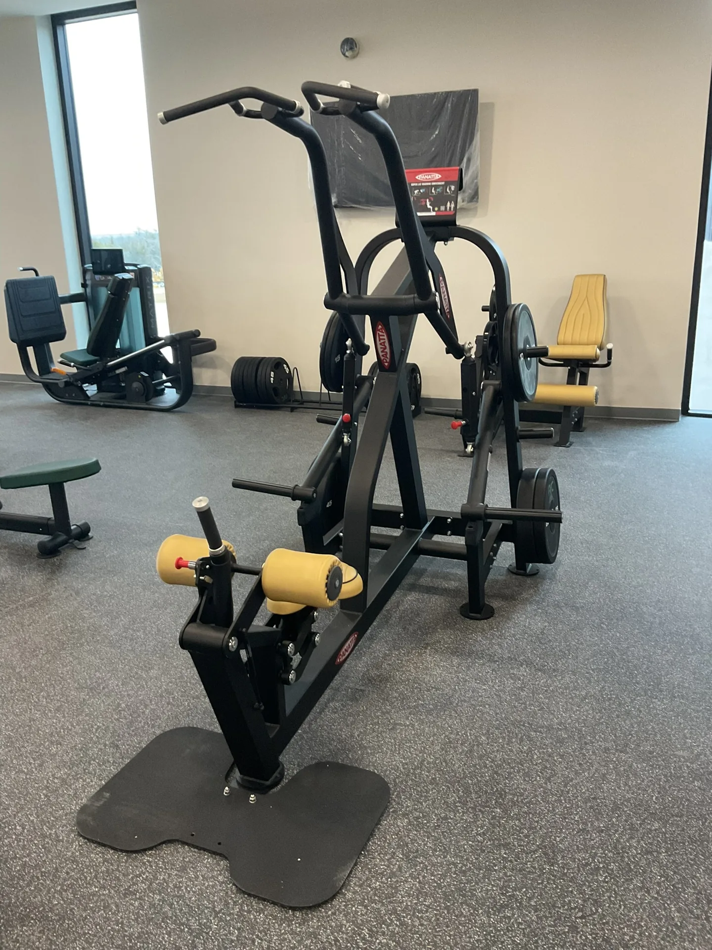 A plate-loaded standing machine on a rubber mat with a window wall and further strength machines behind