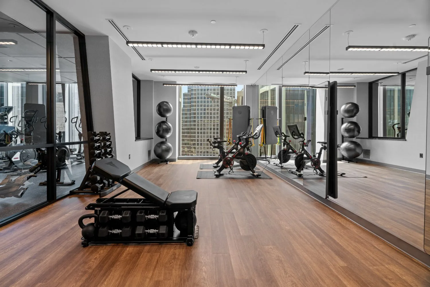 Wood-look plank flooring in an apartment amenity gym with a functional trainer, adjustable bench and stability balls