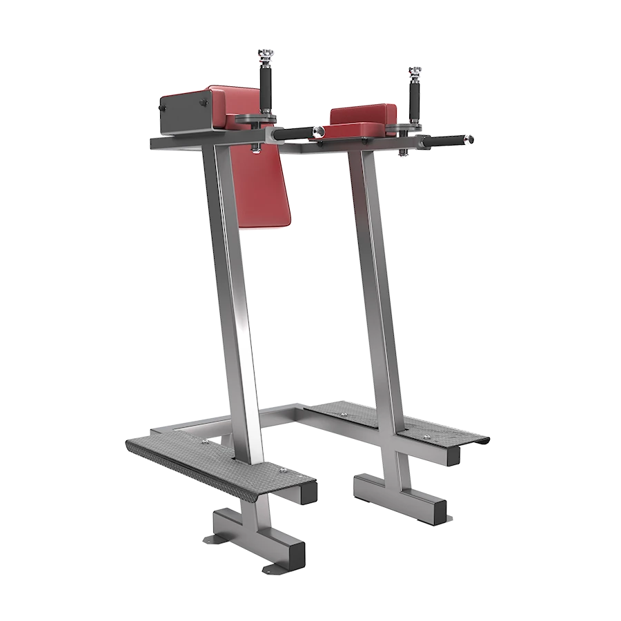 A GYM80 80Classics Abdominal Flexor machine