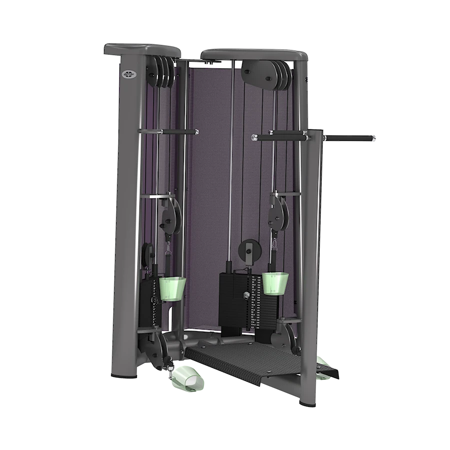 A GYM80 Sygnum Cable Art leg training station