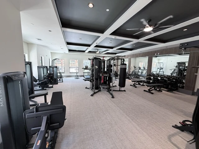Matrix leg press and a Batca functional trainer with a heavy bag under a black coffered ceiling