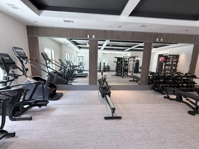 Matrix rower with a dumbbell rack and cardio equipment reflected in a mirrored wall