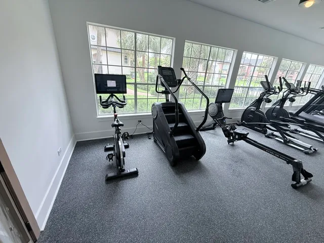 Echelon connected bike, a stair climber and an Echelon rower at tall windows in a Houston apartment gym