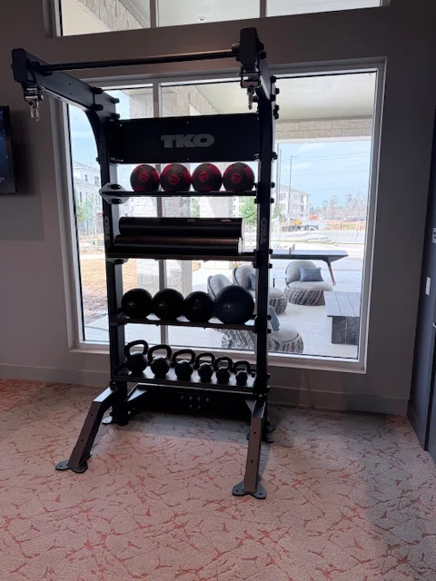 Storage rack with medicine balls, kettlebells and slam balls at a window onto a patio in a Spring, Texas apartment gym