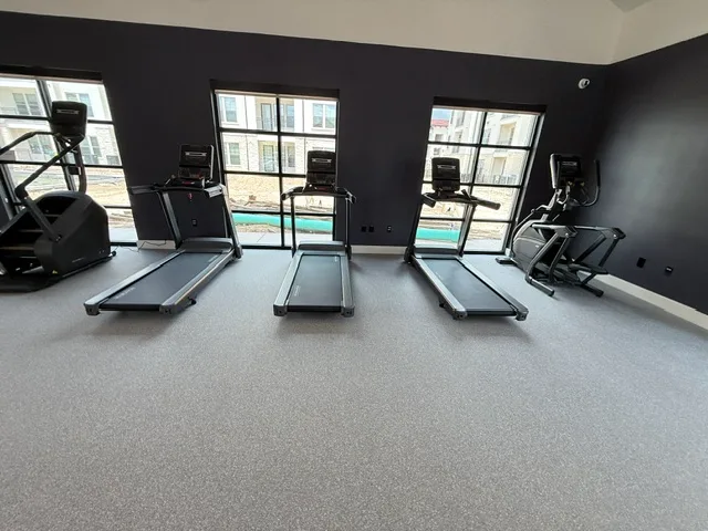 Three Matrix treadmills, a climbmill and an elliptical facing tall windows in a Spring, Texas apartment gym